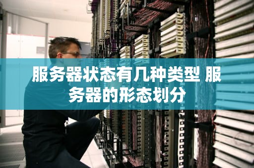 服务器状态有几种类型 服务器的形态划分