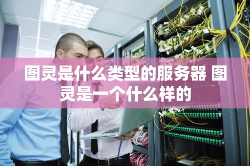 图灵是什么类型的服务器 图灵是一个什么样的