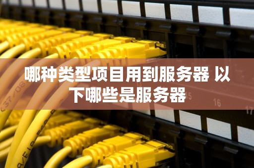 哪种类型项目用到服务器 以下哪些是服务器