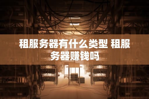 租服务器有什么类型 租服务器赚钱吗