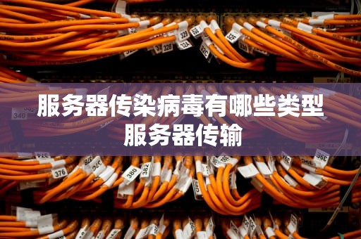 服务器传染病毒有哪些类型 服务器传输