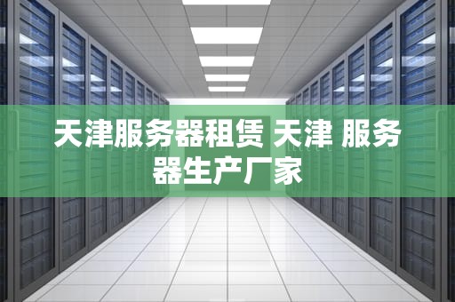 天津服务器租赁 天津 服务器生产厂家