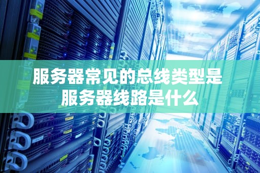 服务器常见的总线类型是 服务器线路是什么