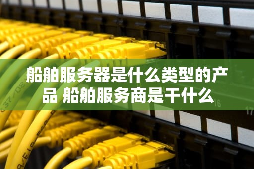 船舶服务器是什么类型的产品 船舶服务商是干什么