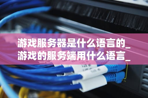 游戏服务器是什么语言的_游戏的服务端用什么语言_游戏服务器的语言选择与应用