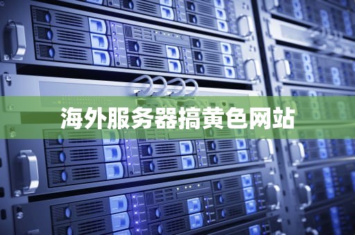 海外服务器搞黄色网站