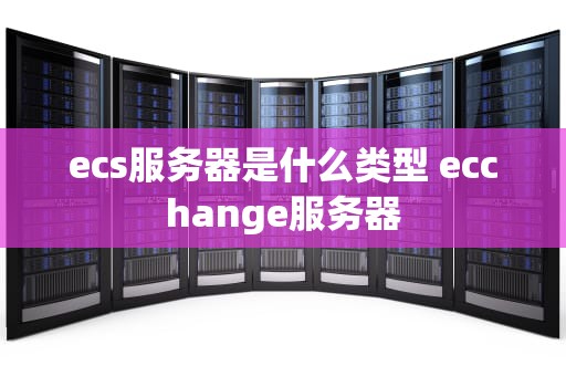 ecs服务器是什么类型 ecchange服务器