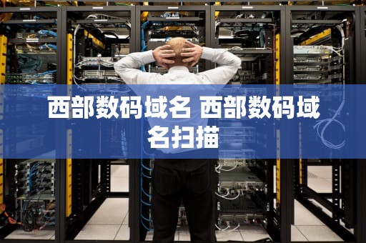 西部数码域名 西部数码域名扫描