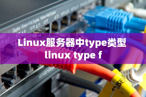 Linux服务器中type类型 linux type f