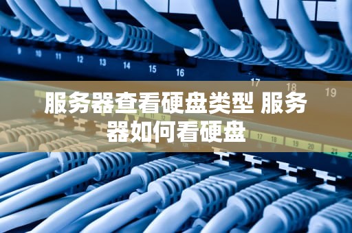 服务器查看硬盘类型 服务器如何看硬盘
