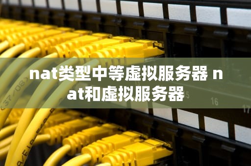 nat类型中等虚拟服务器 nat和虚拟服务器