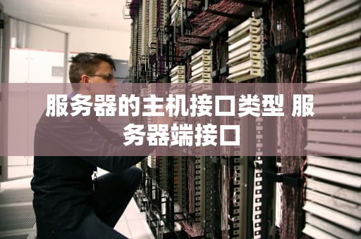 服务器的主机接口类型 服务器端接口