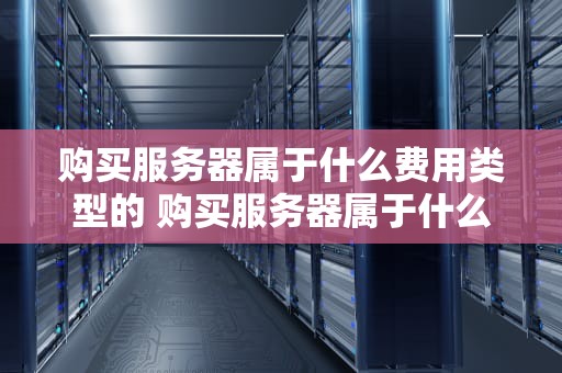 购买服务器属于什么费用类型的 购买服务器属于什么费用类型的科目