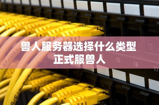 兽人服务器选择什么类型 正式服兽人