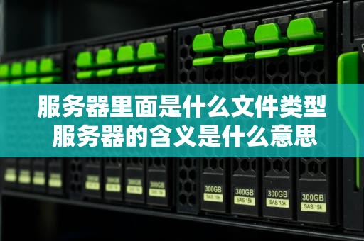 服务器里面是什么文件类型 服务器的含义是什么意思