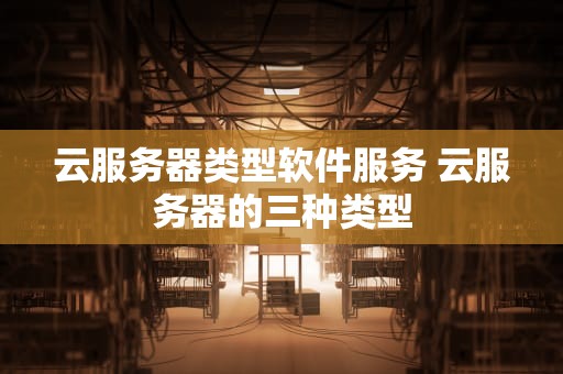 云服务器类型软件服务 云服务器的三种类型