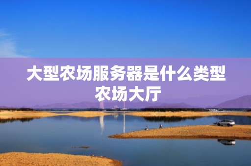 大型农场服务器是什么类型 农场大厅