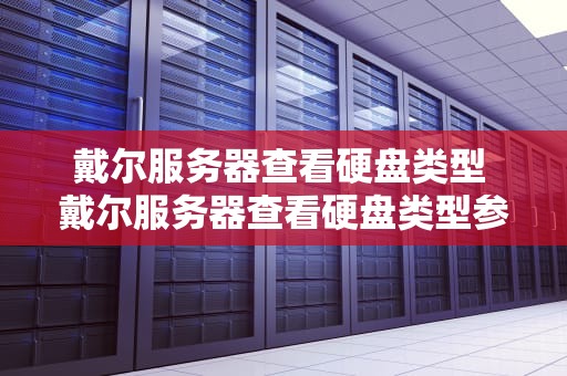 戴尔服务器查看硬盘类型 戴尔服务器查看硬盘类型参数