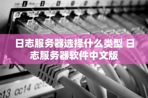 日志服务器选择什么类型 日志服务器软件中文版