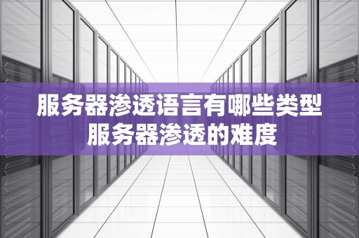 服务器渗透语言有哪些类型 服务器渗透的难度
