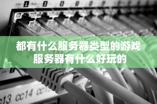 都有什么服务器类型的游戏 服务器有什么好玩的