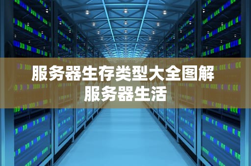 服务器生存类型大全图解 服务器生活