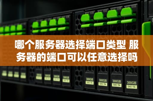 哪个服务器选择端口类型 服务器的端口可以任意选择吗