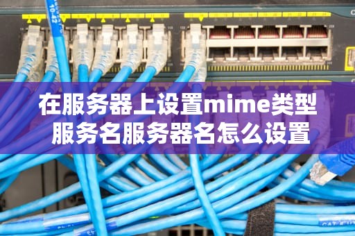 在服务器上设置mime类型 服务名服务器名怎么设置