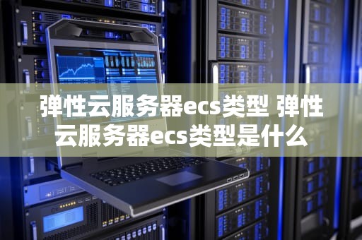 弹性云服务器ecs类型 弹性云服务器ecs类型是什么