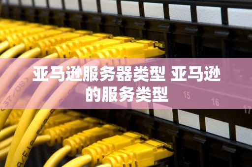 亚马逊服务器类型 亚马逊的服务类型
