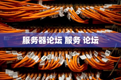 服务器论坛 服务 论坛