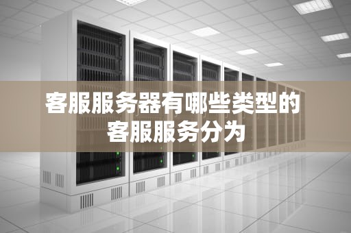 客服服务器有哪些类型的 客服服务分为
