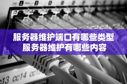 服务器维护端口有哪些类型 服务器维护有哪些内容