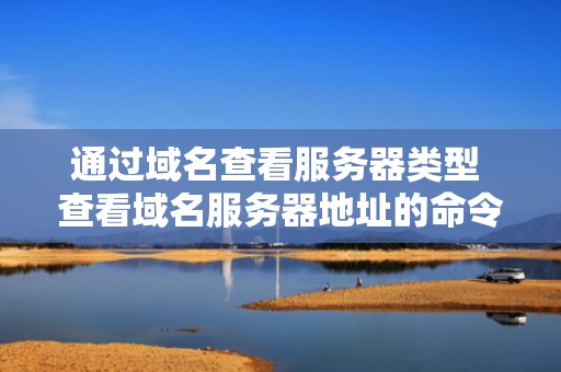 通过域名查看服务器类型 查看域名服务器地址的命令是