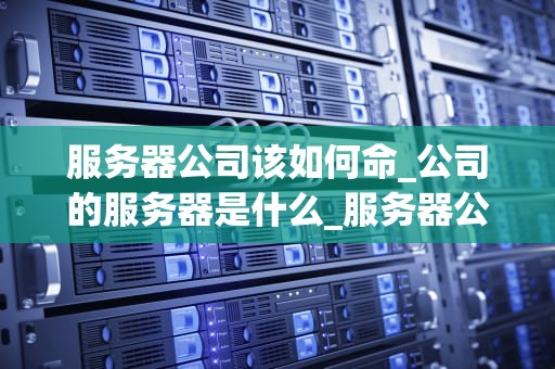 服务器公司该如何命_公司的服务器是什么_服务器公司的发展策略与挑战