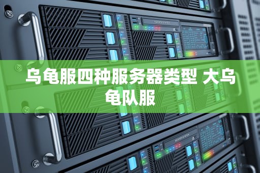 乌龟服四种服务器类型 大乌龟队服