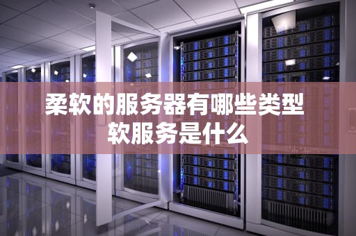 柔软的服务器有哪些类型 软服务是什么