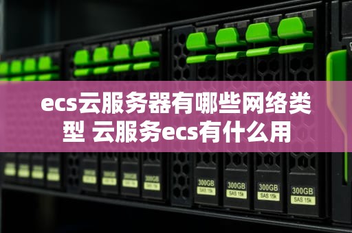ecs云服务器有哪些网络类型 云服务ecs有什么用