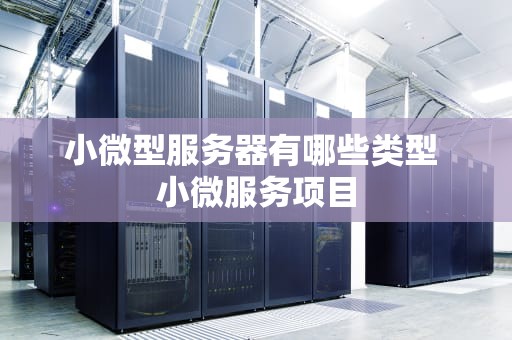小微型服务器有哪些类型 小微服务项目