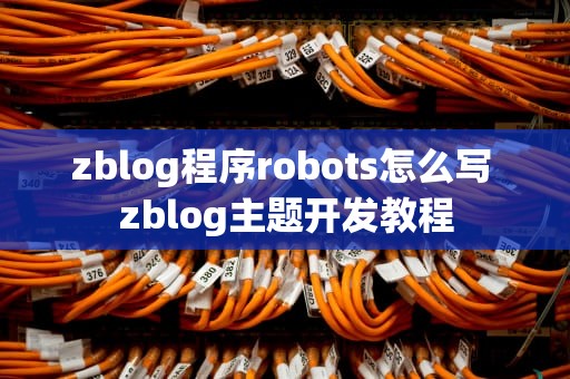 zblog程序robots怎么写 zblog主题开发教程