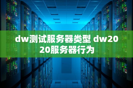 dw测试服务器类型 dw2020服务器行为