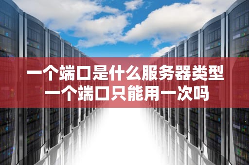 一个端口是什么服务器类型 一个端口只能用一次吗