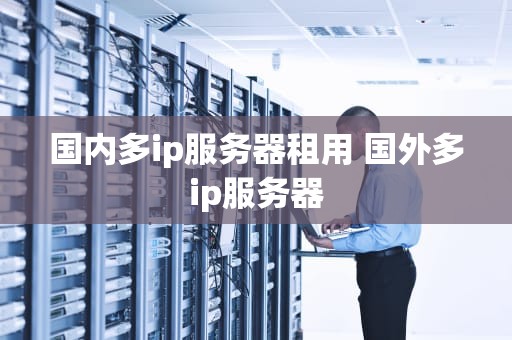 国内多ip服务器租用 国外多ip服务器