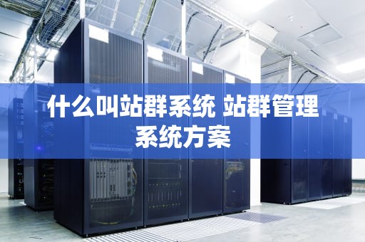 什么叫站群系统 站群管理系统方案