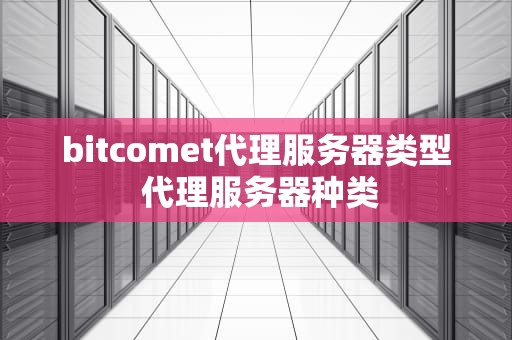 bitcomet代理服务器类型 代理服务器种类