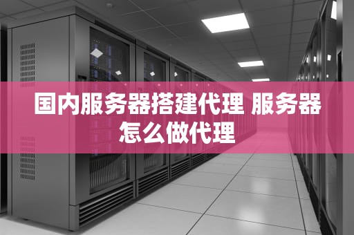 国内服务器搭建代理 服务器怎么做代理