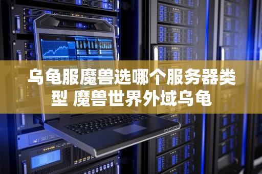 乌龟服魔兽选哪个服务器类型 魔兽世界外域乌龟