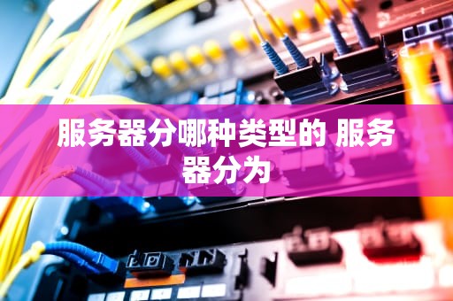 服务器分哪种类型的 服务器分为
