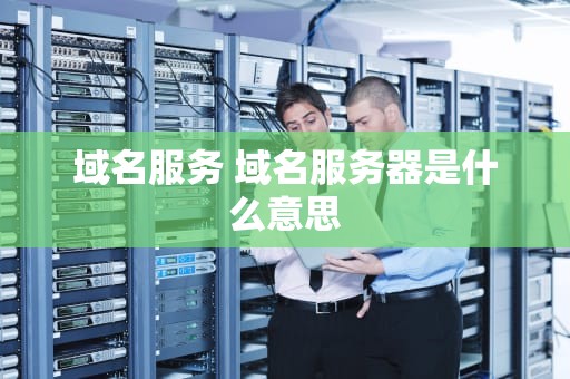 域名服务 域名服务器是什么意思