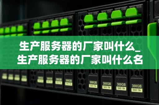 生产服务器的厂家叫什么_生产服务器的厂家叫什么名字_生产服务器的厂家及其在信息技术领域的影响